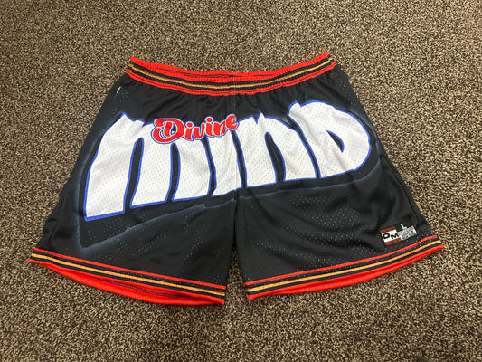 Divine Mind "76ers retro shorts"